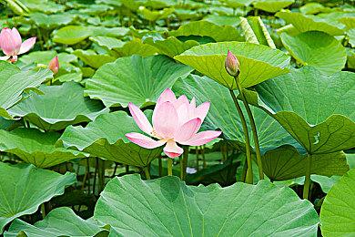 《暗黑破坏神4》S1赛季7月中下旬开始 战斗通行证详情